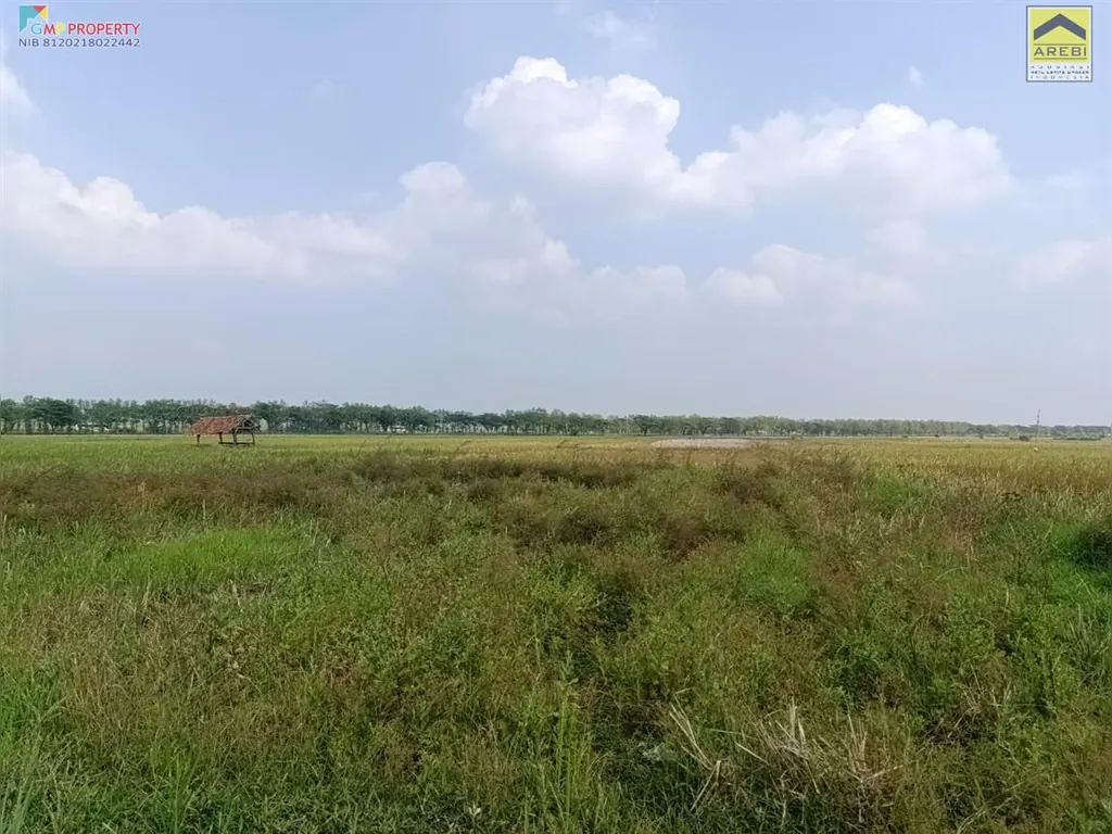 Tanah sawah di pinggir jalan kertajati (1).jpeg