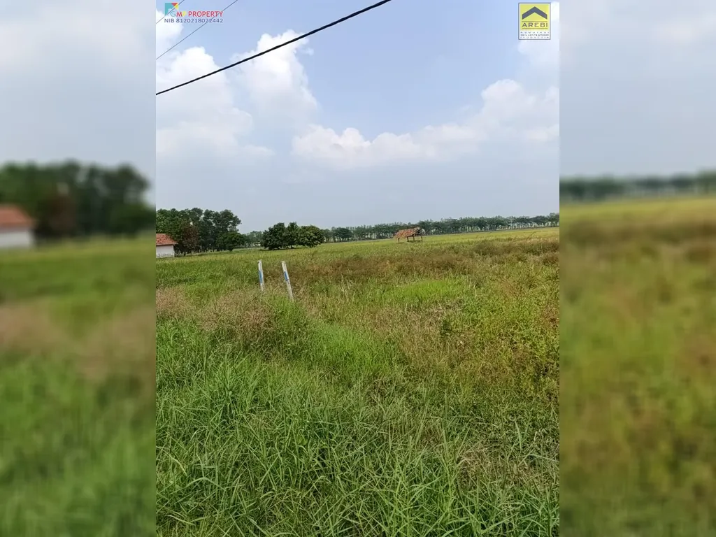 Tanah sawah di pinggir jalan kertajati (2).jpeg