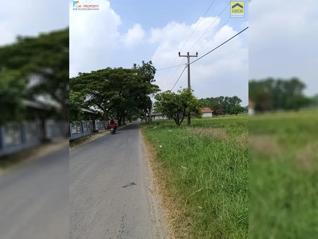 Tanah sawah di pinggir jalan kertajati (3).jpeg