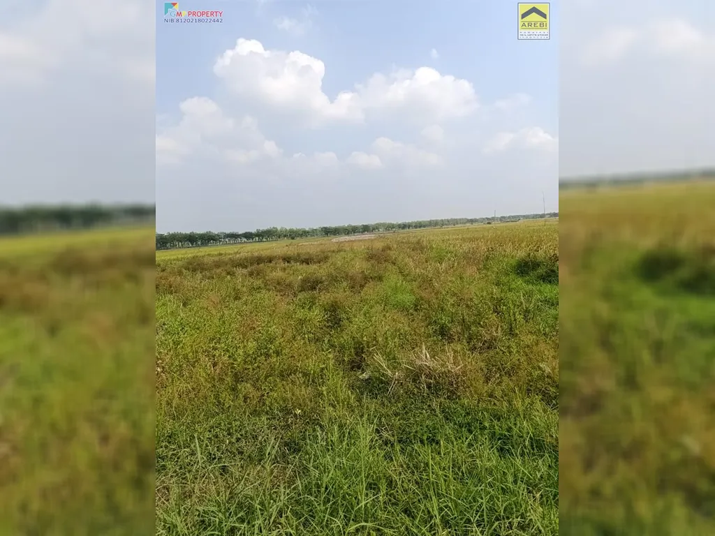 Tanah sawah di pinggir jalan kertajati (4).jpeg