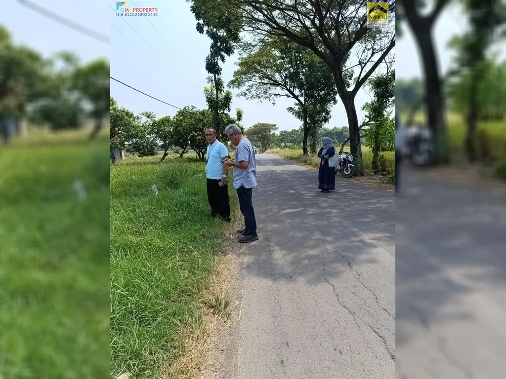 Tanah sawah di pinggir jalan kertajati (5).jpeg