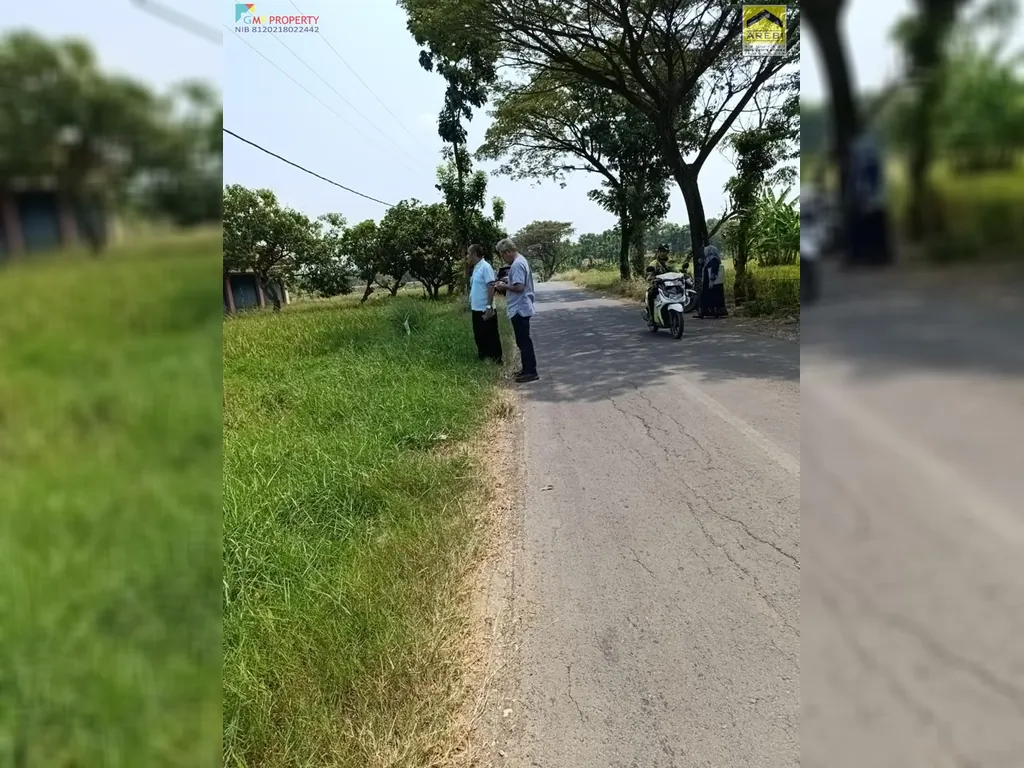 Tanah sawah di pinggir jalan kertajati (6).jpeg