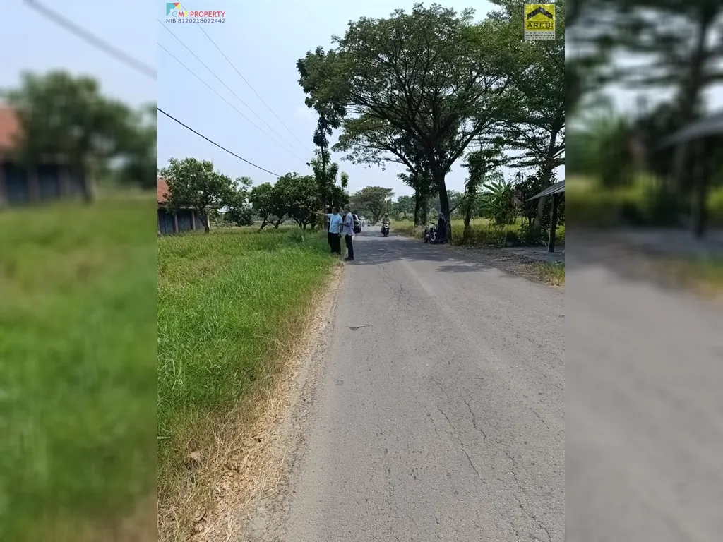 Tanah sawah di pinggir jalan kertajati (7).jpeg