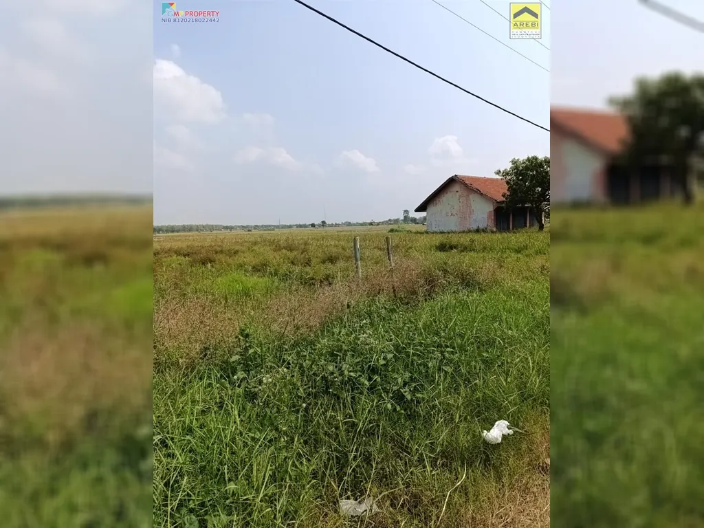 Tanah sawah di pinggir jalan kertajati (8).jpeg