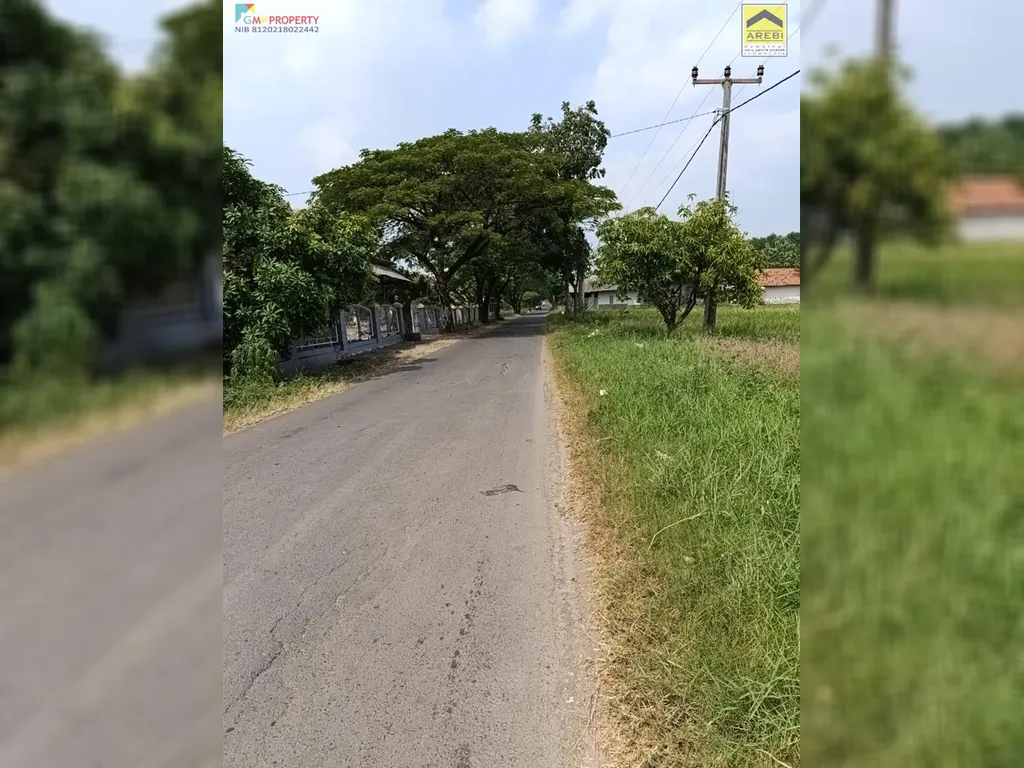 Tanah sawah di pinggir jalan kertajati (9).jpeg
