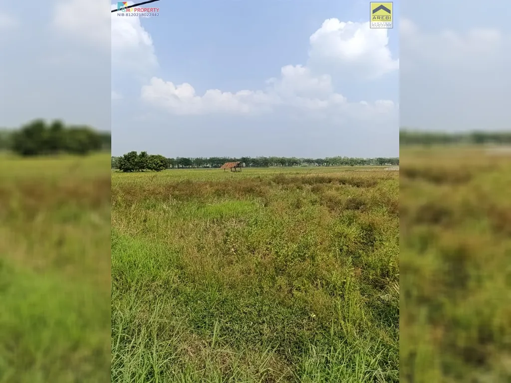 Tanah sawah di pinggir jalan kertajati (10).jpeg