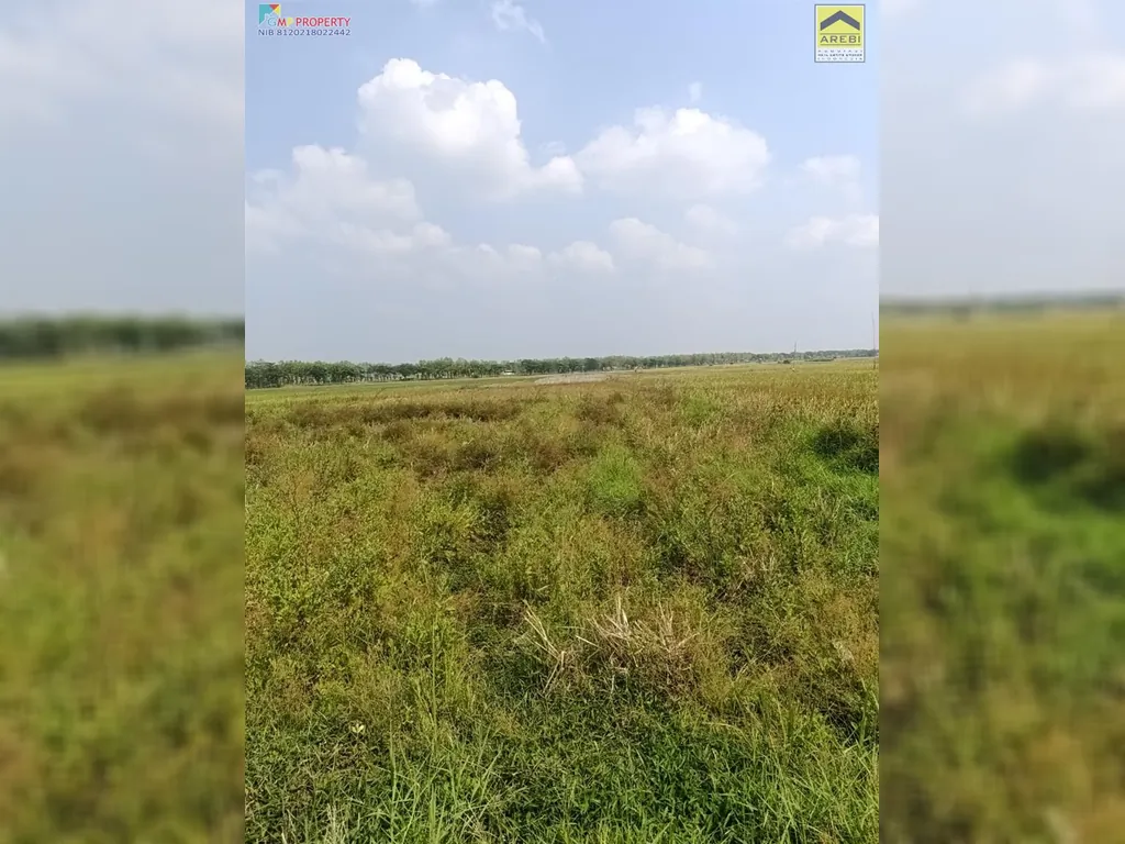 Tanah sawah di pinggir jalan kertajati (11).jpeg