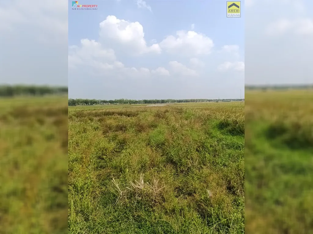 Tanah sawah di pinggir jalan kertajati (12).jpeg