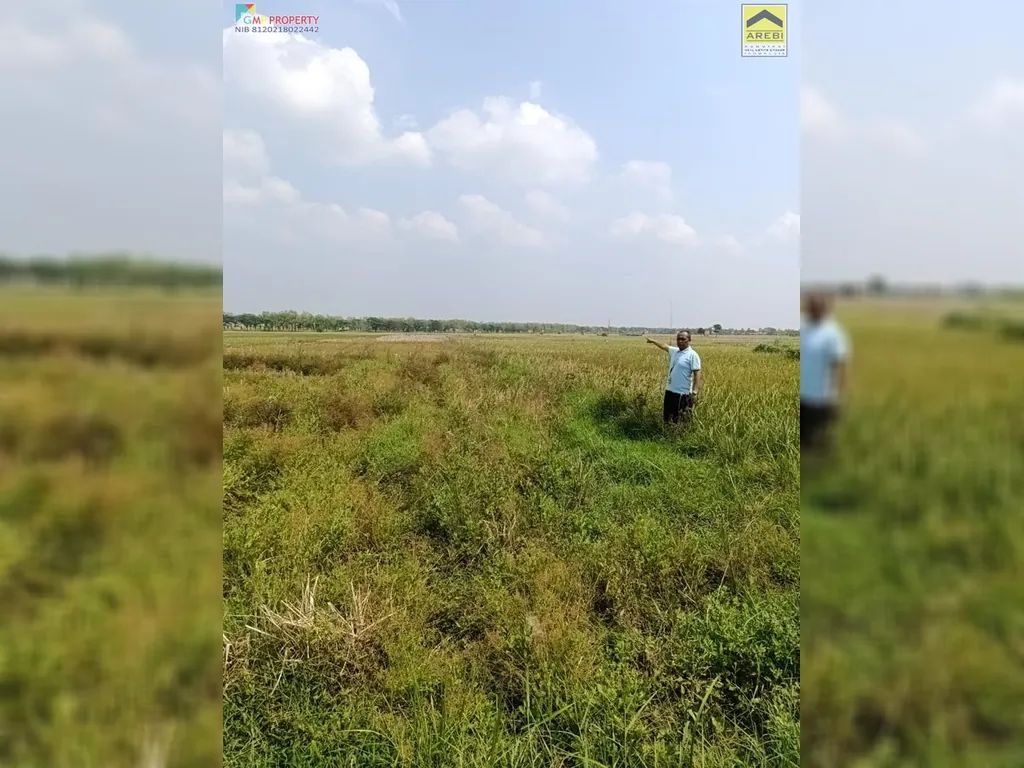 Tanah sawah di pinggir jalan kertajati (13).jpeg