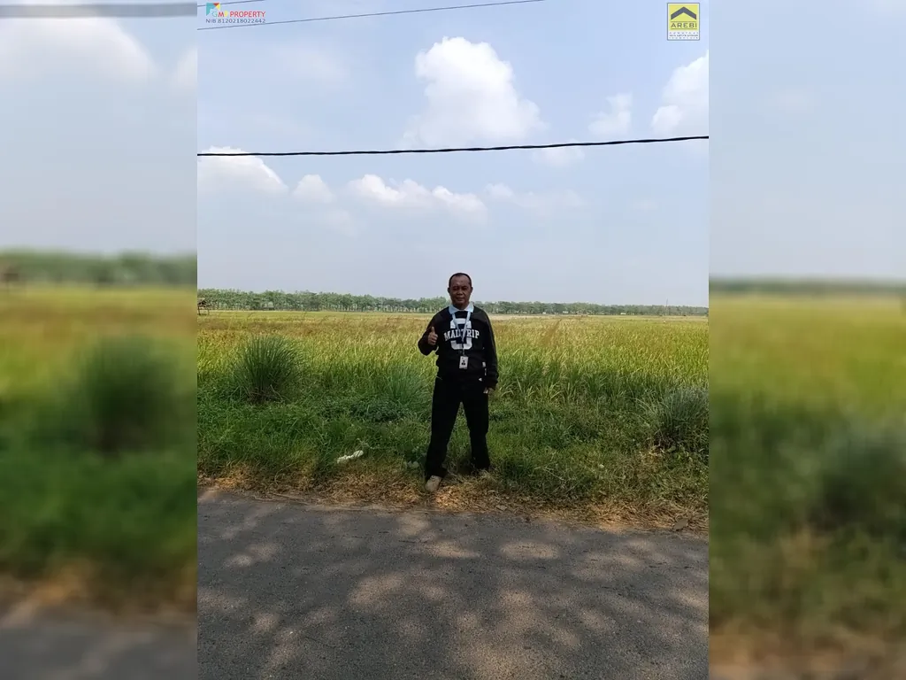 Tanah sawah di pinggir jalan kertajati (14).jpeg
