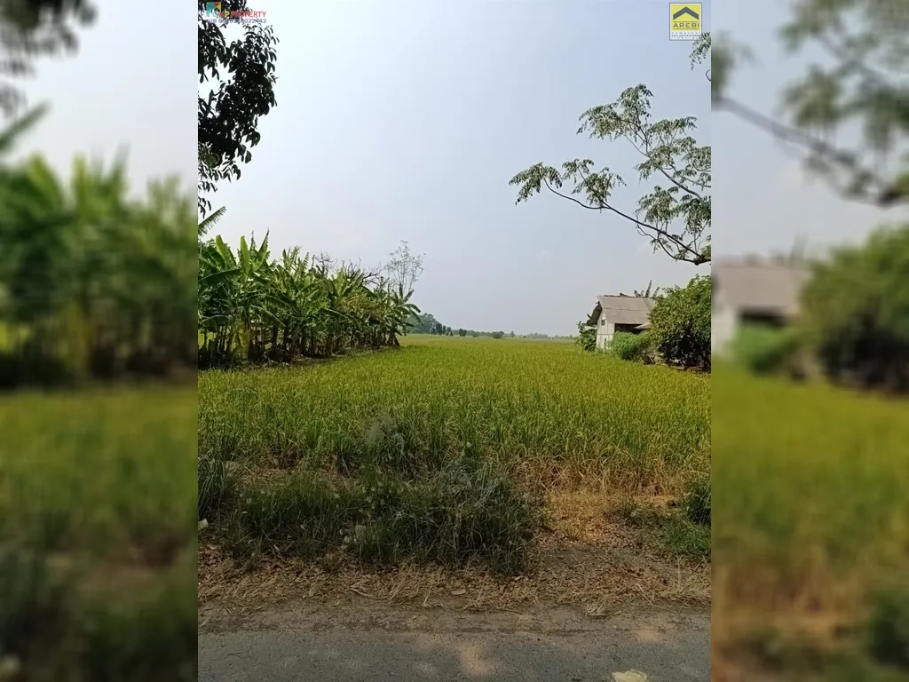 Tanah sawah di pinggir jalan kertajati (16).jpeg