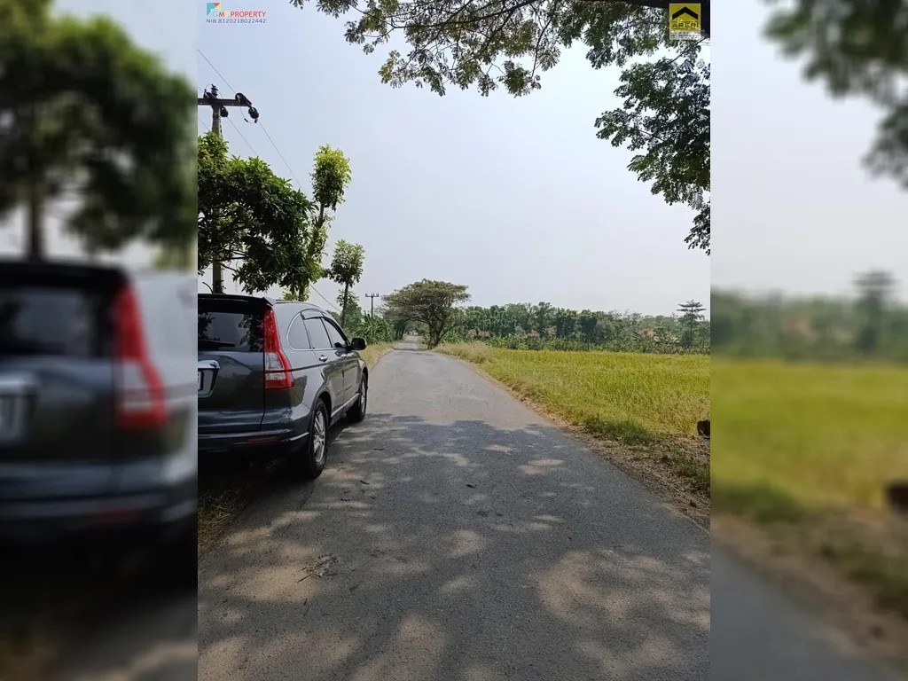 Tanah sawah di pinggir jalan kertajati (17).jpeg