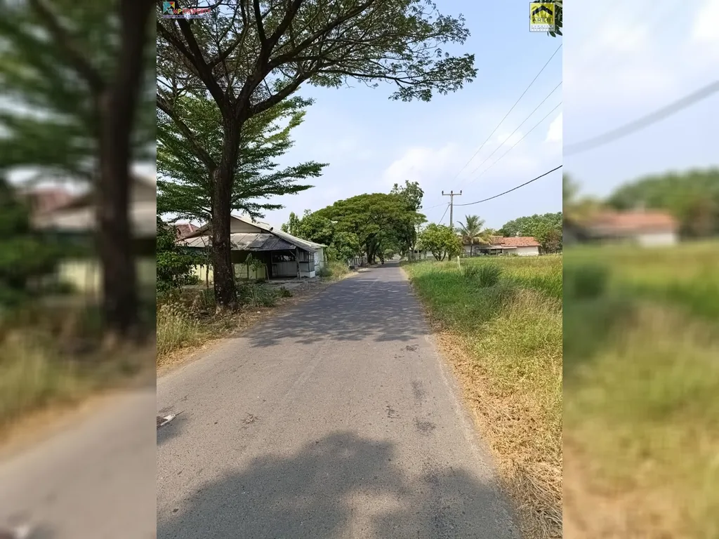 Tanah sawah di pinggir jalan kertajati (18).jpeg