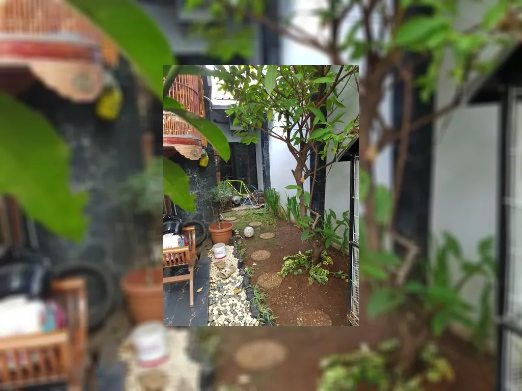 WhatsApp Image 2019-08-27 at 17.29.44.jpeg