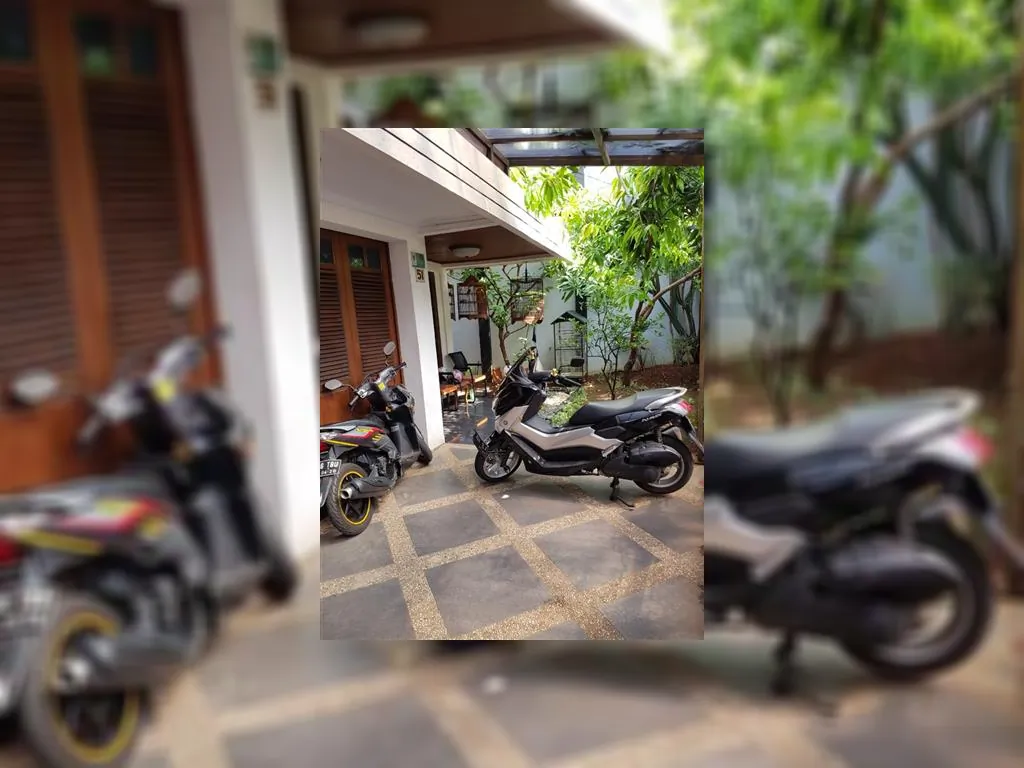 WhatsApp Image 2019-08-27 at 17.37.33.jpeg