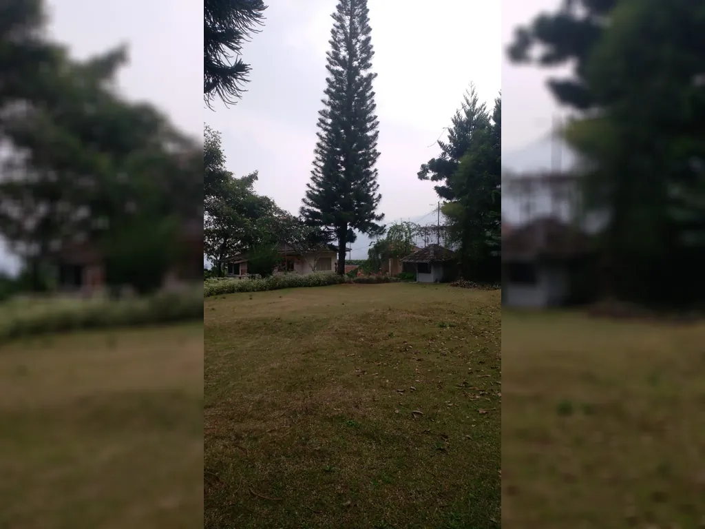 Cisarua Puncak Bogor (13).jpg