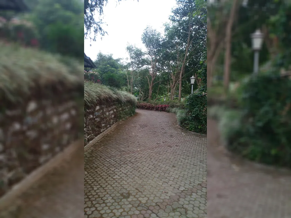 Cisarua Puncak Bogor (14).jpg