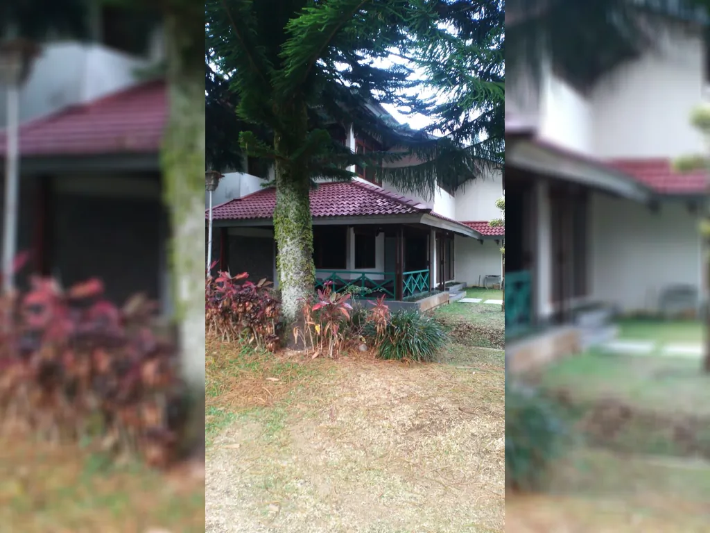 Cisarua Puncak Bogor (16).jpg