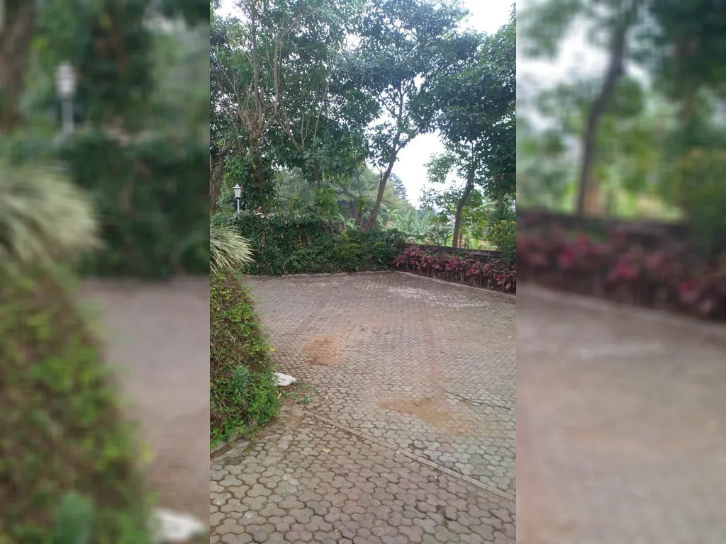 Cisarua Puncak Bogor (18).jpg