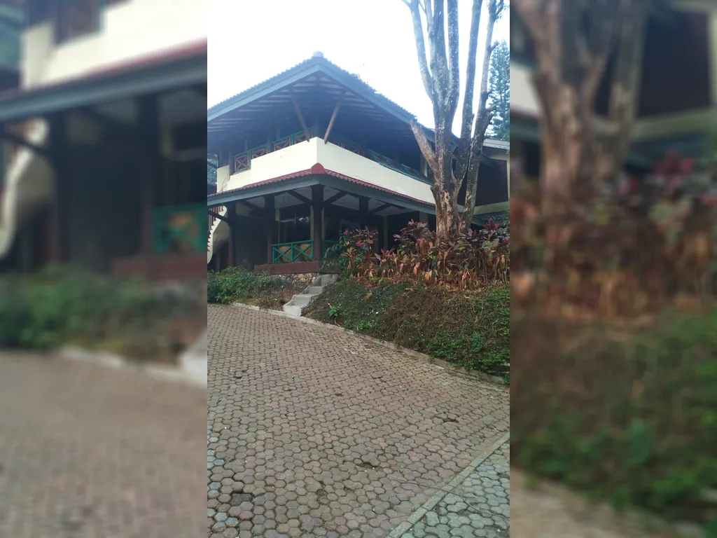 Cisarua Puncak Bogor (2).jpg