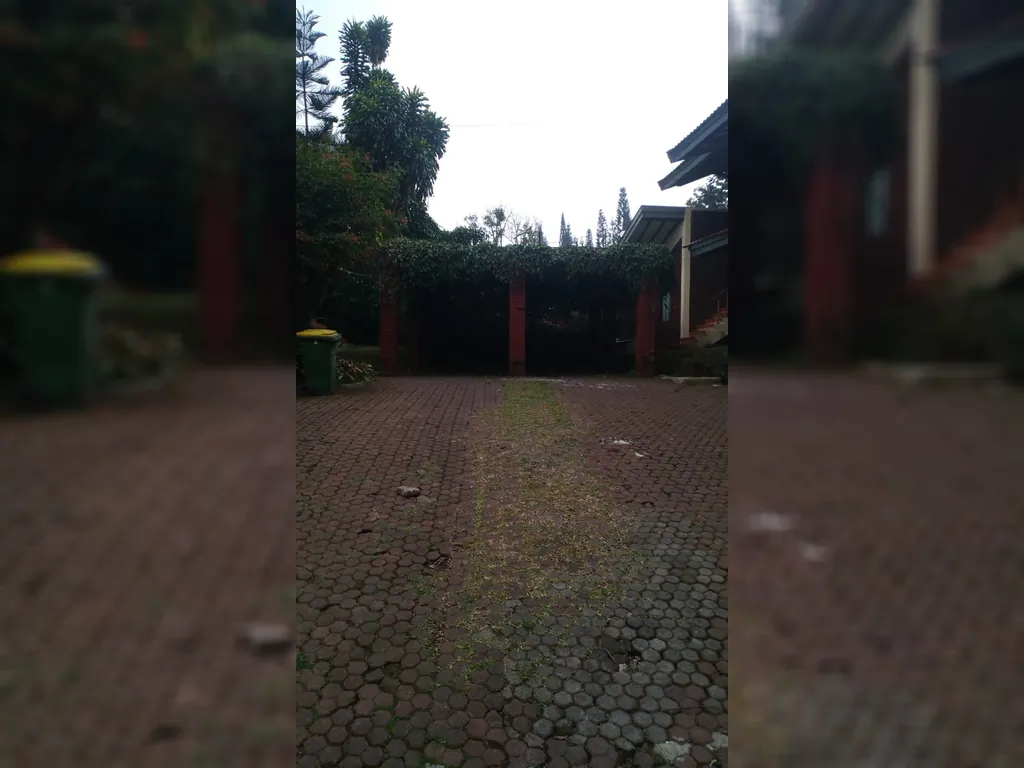 Cisarua Puncak Bogor (3).jpg