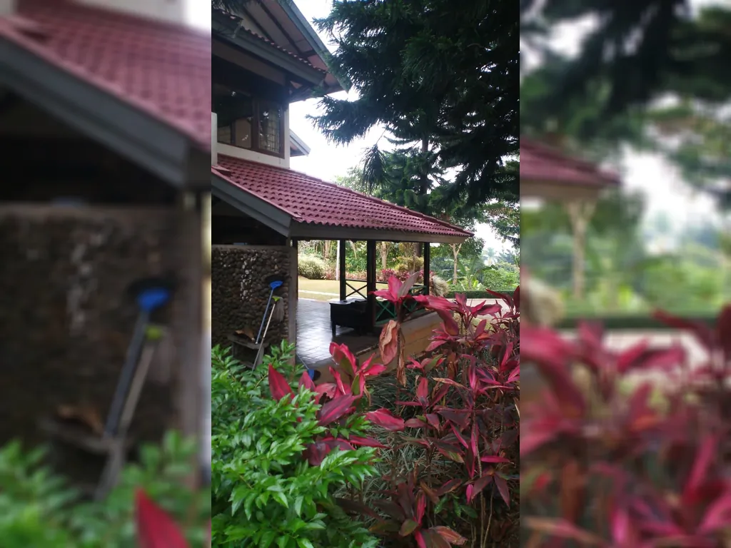 Cisarua Puncak Bogor (8).jpg