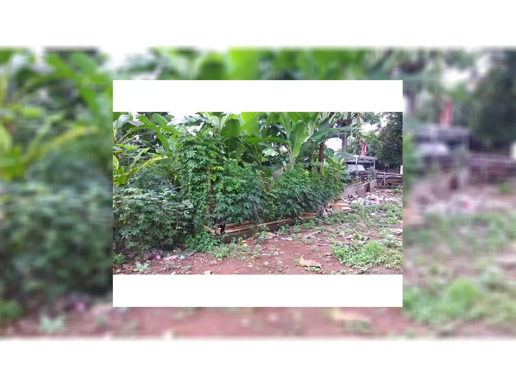 Tanah dijual di Pangkalan Jati Cinere Depok Tanah dekat Pondok Labu (3).jpg