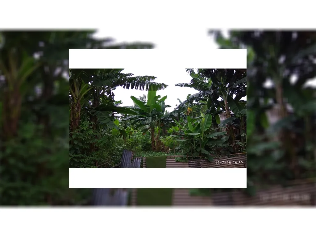 Tanah dijual di Pangkalan Jati Cinere Depok Tanah dekat Pondok Labu (4).jpg