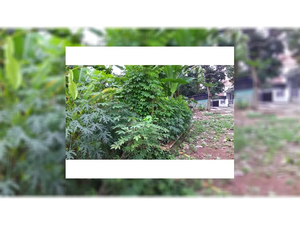 Tanah dijual di Pangkalan Jati Cinere Depok Tanah dekat Pondok Labu (2).jpg