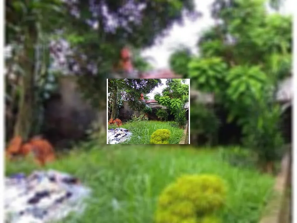 Tanah dijual di Pangkalan Jati Tanah dijual di Pangkalan Jati (5).jpeg