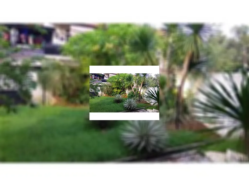 Tanah dijual di Pangkalan Jati Tanah dijual di Pangkalan Jati (2).jpeg