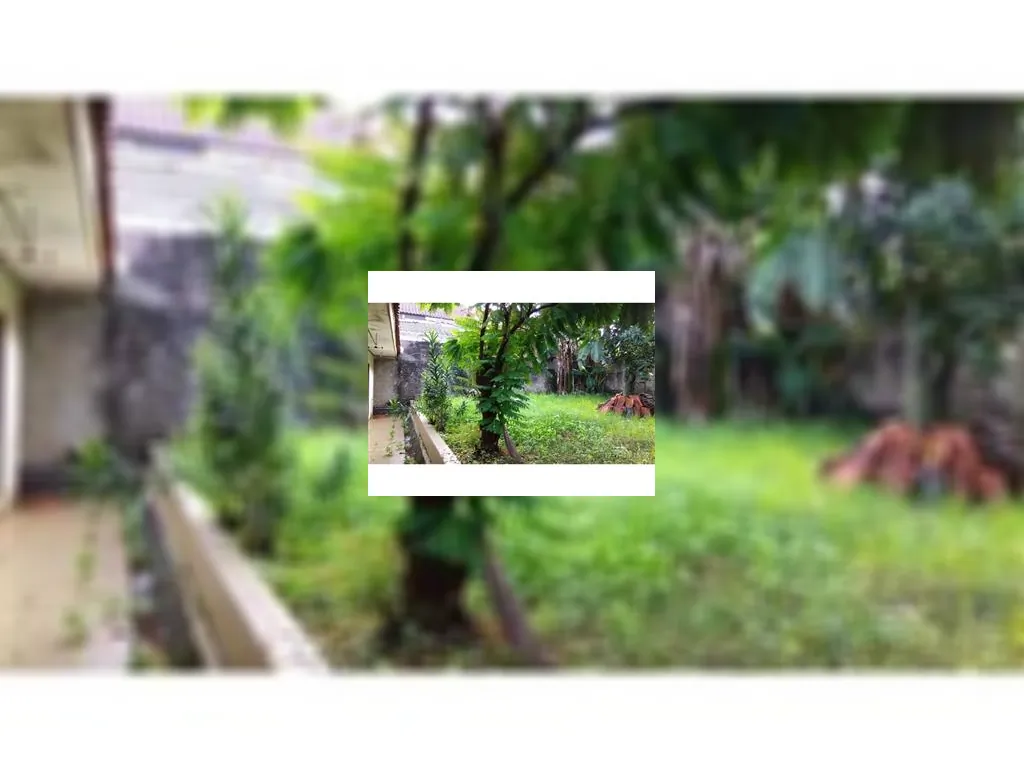 Tanah dijual di Pangkalan Jati Tanah dijual di Pangkalan Jati (4).jpeg