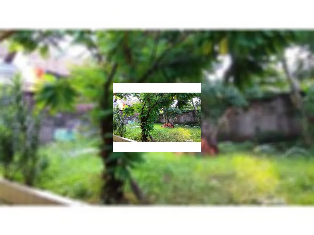 Tanah dijual di Pangkalan Jati Tanah dijual di Pangkalan Jati (3).jpeg