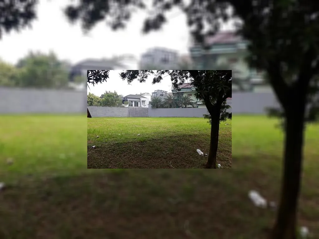 WhatsApp Image 2019-03-11 at 17.00.10.jpeg