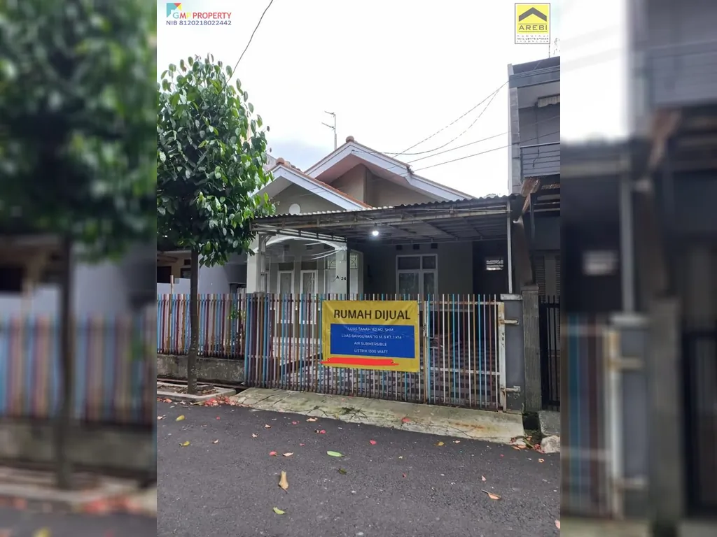 rafflesia 1,2m 4.jpg