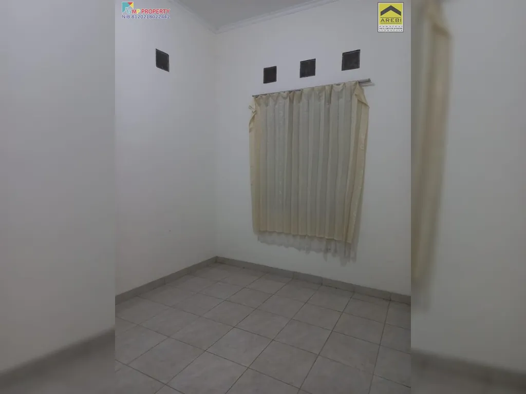 rafflesia 1,2m 5.jpg