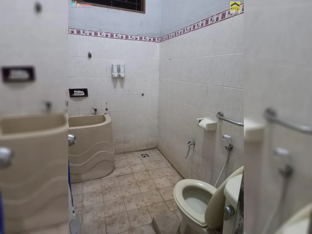 rafflesia 1,2m 7.jpg