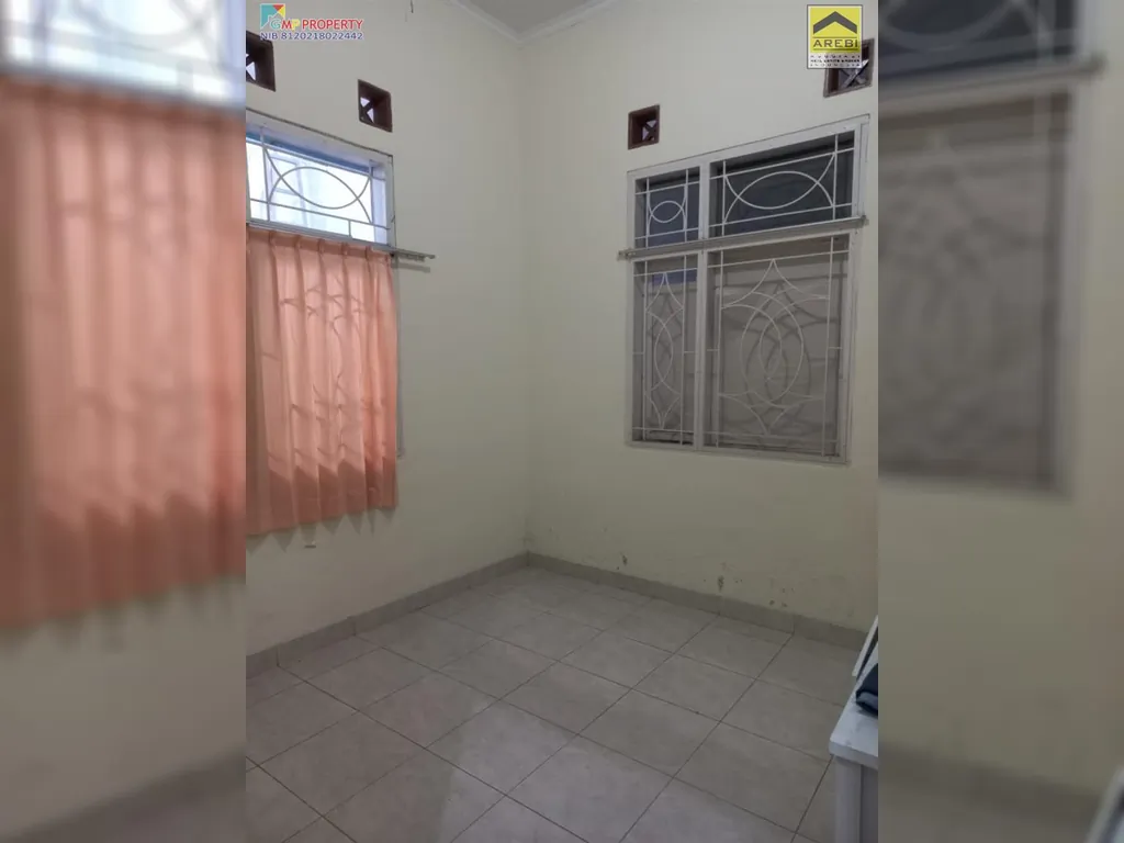 rafflesia 1,2m 8.jpg