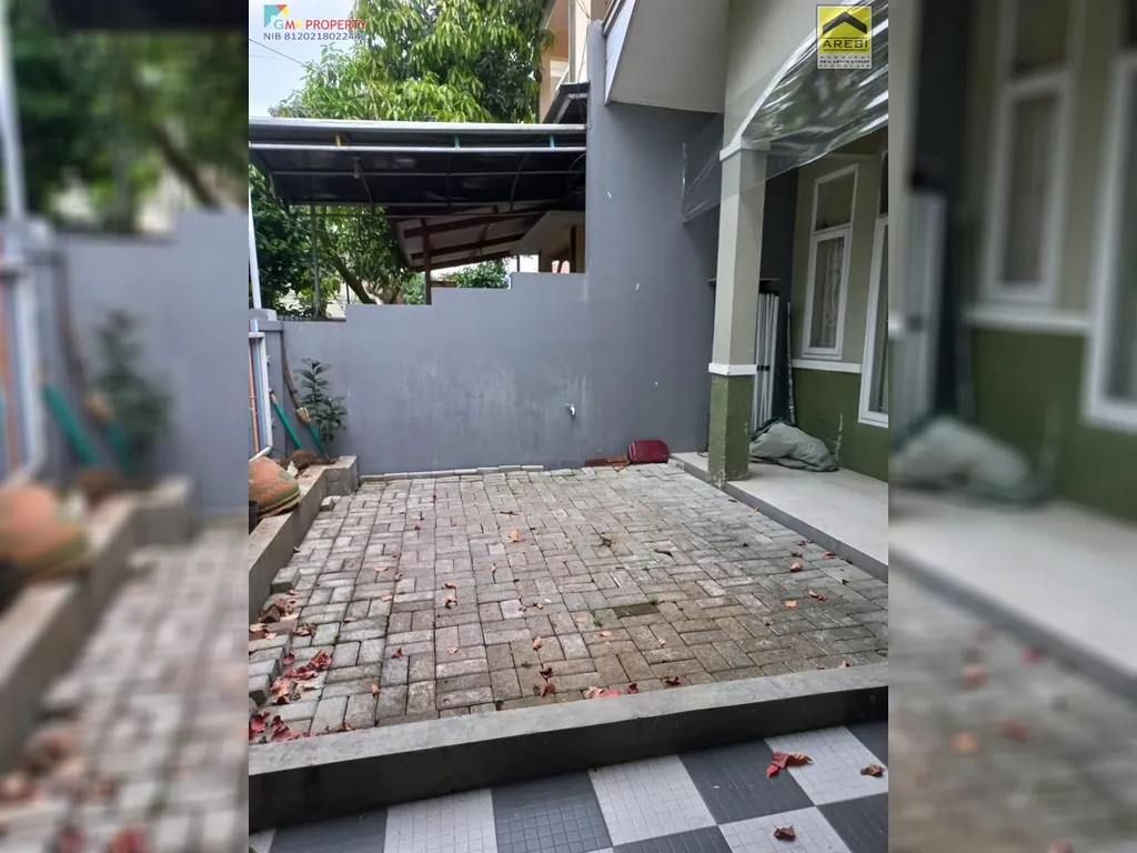 rafflesia 1,2m 9.jpg