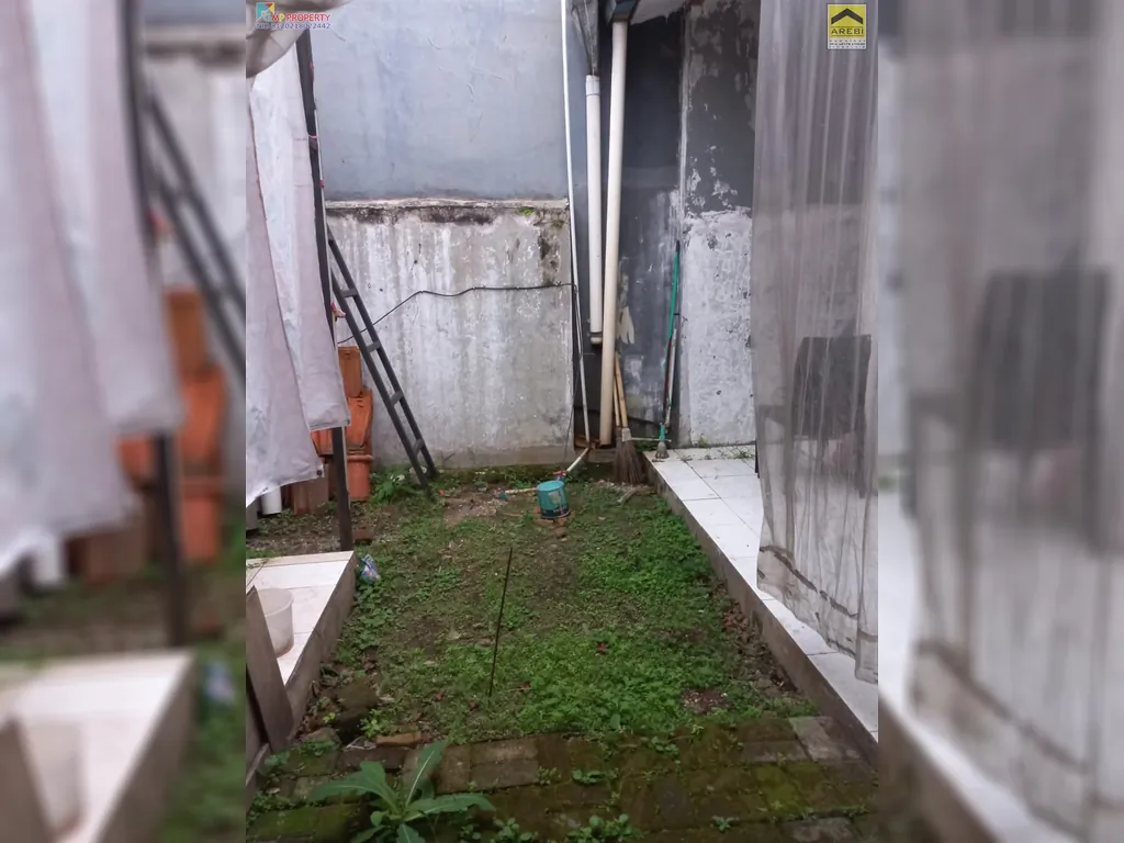 rafflesia 1,2m 10.jpg