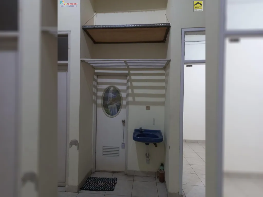 rafflesia 1,2m 11.jpg