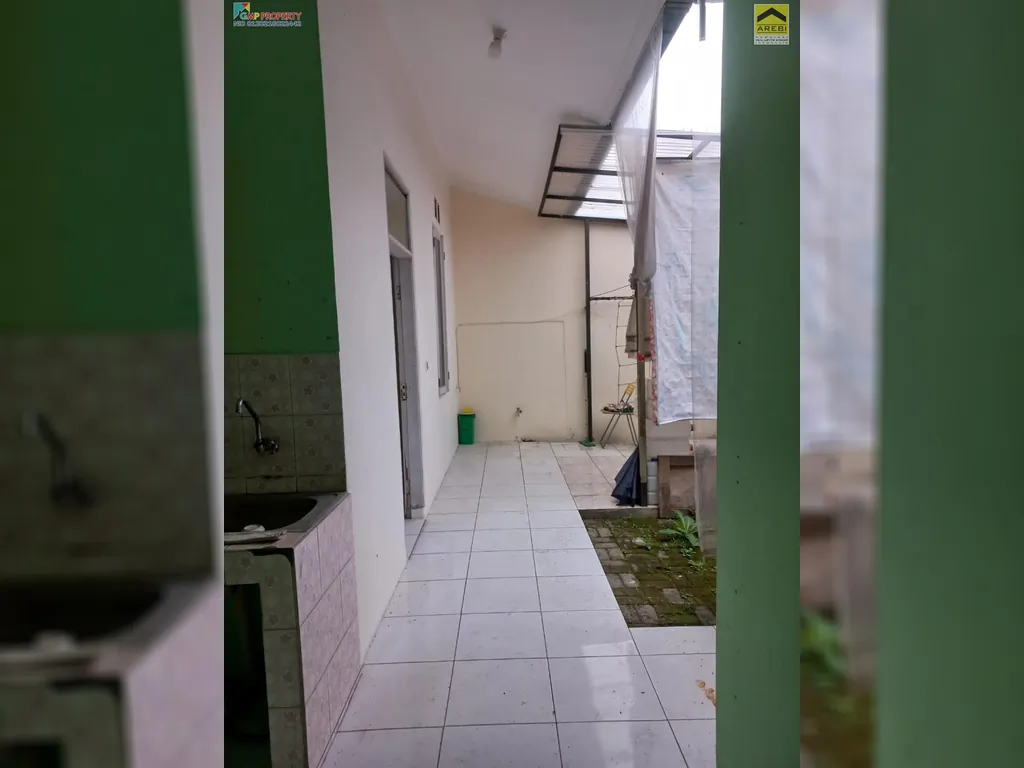 rafflesia 1,2m 12.jpg