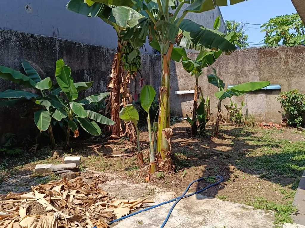 di jual Rumah di cijawura  (20).jfif