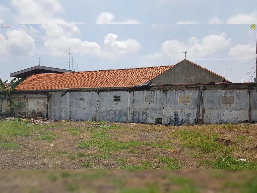 WhatsApp Image 2024-03-11 at 10.37.43.jpeg