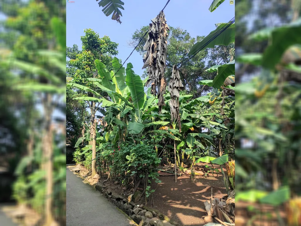 TANAH KOMSEN (4).jpeg