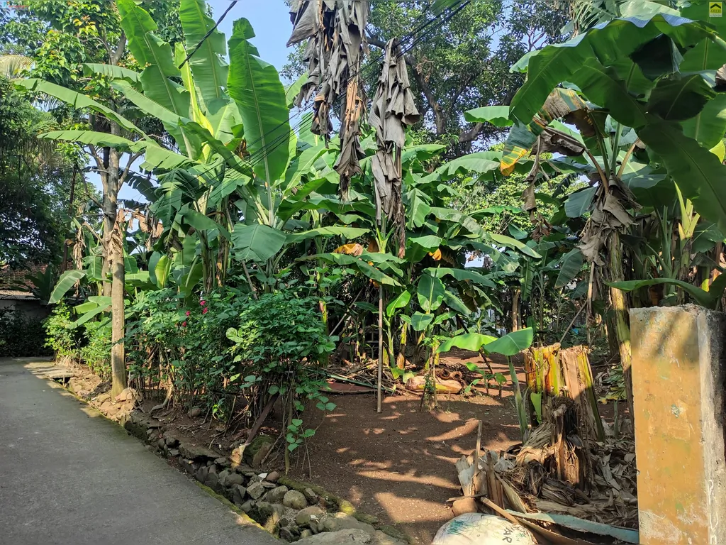 TANAH KOMSEN (6).jpeg