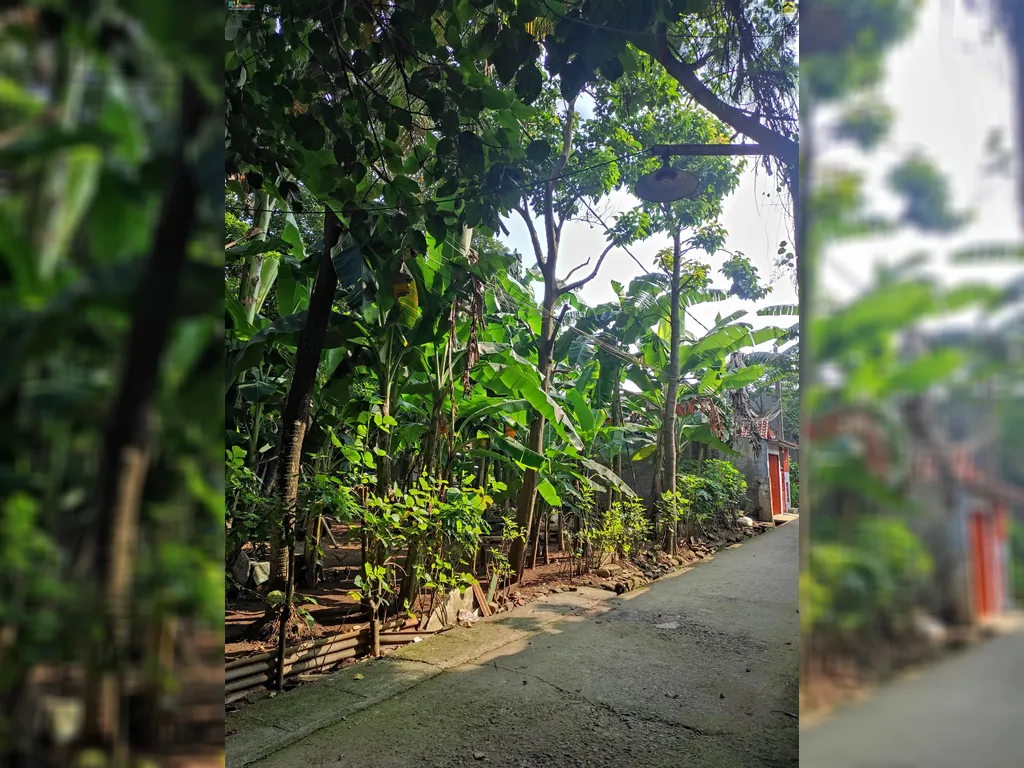 TANAH KOMSEN (7).jpeg