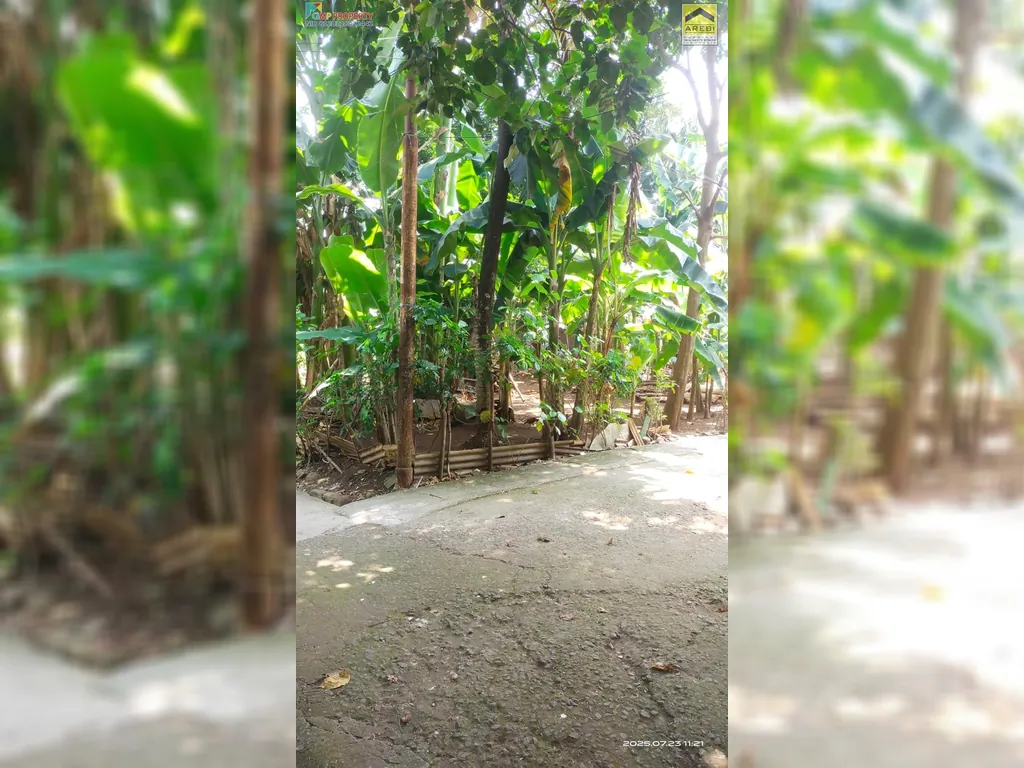 TANAH KOMSEN (9).jpeg