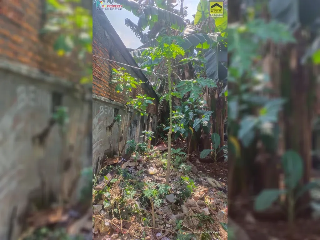 TANAH KOMSEN (10).jpeg