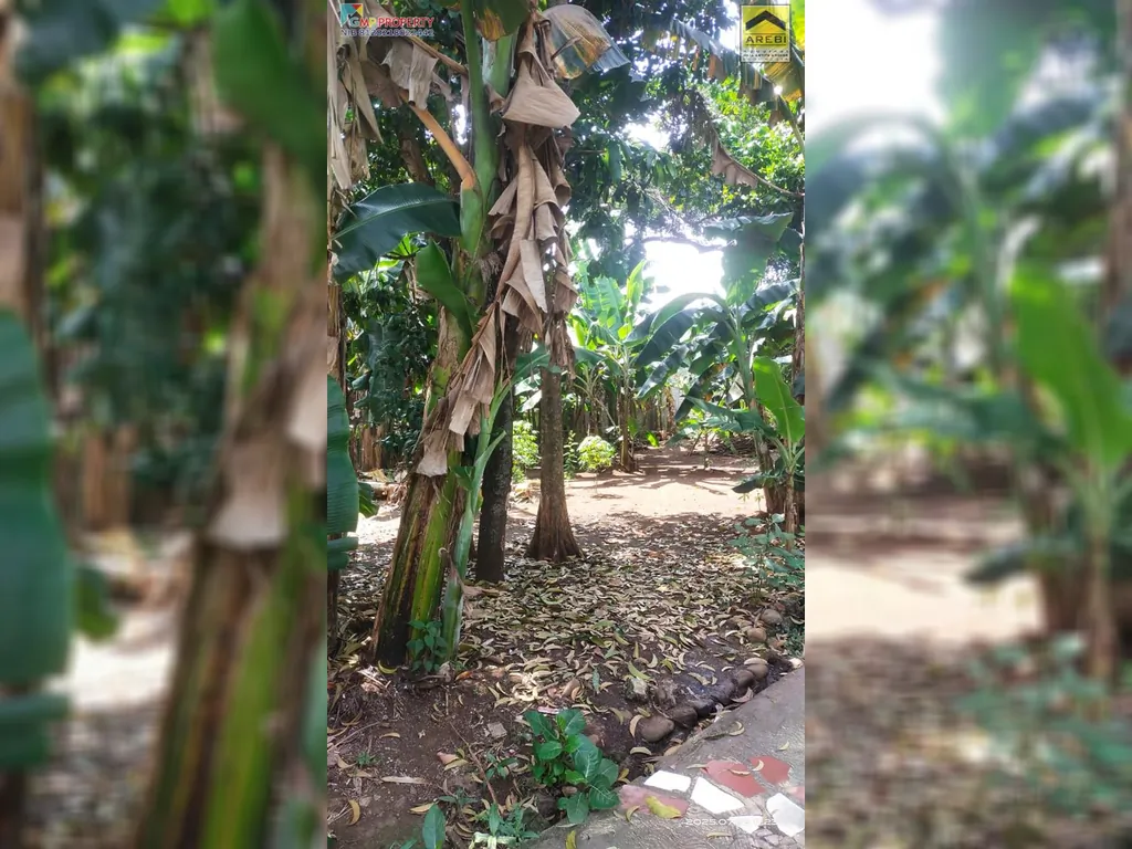 TANAH KOMSEN (1).jpeg